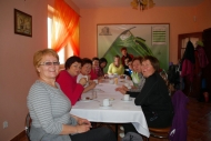 Aktywna Majwka